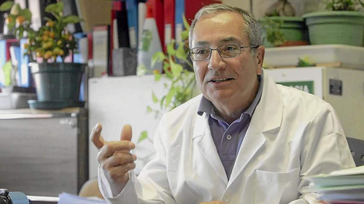 El catedrático de la Universidad de León y miembro del comité de expertos, Elías Rodríguez Ferri, en su despacho.-BRUNO MORENO