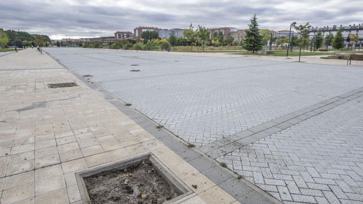 En la imagen se ve el hueco que antes ocupaban unos árboles de pequeño porte que ya no crecerán.-ISRAEL L. MURILLO