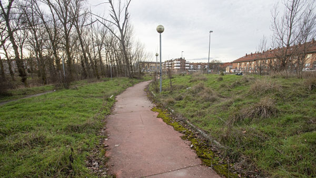 Las orillas del río Vena en la zona de Villímar. SANTI OTERO