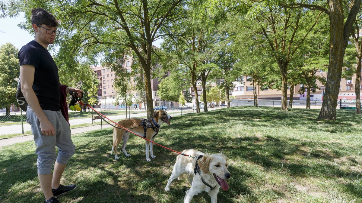Un chico entra con sus perros en una de las zonas habilitadas. SANTI OTERO