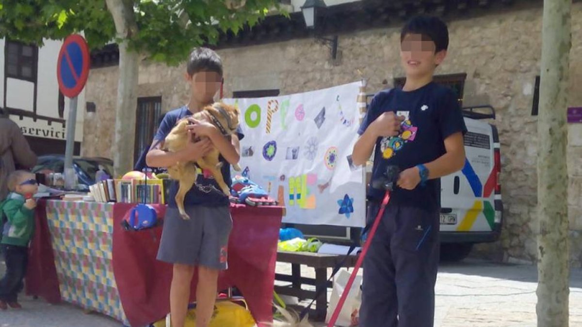 Los alumnos con tres de los animales que esperan adopción en Hope Time: Piku, Menta y Cody.-ECB