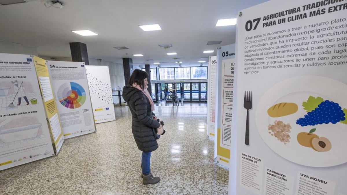 La exposición de UBUVerde se podrá visitar en el vestíbulo de la Escuela Politécnica Superior del Campus Río Vena de la Universidad de Burgos hasta el 31 de enero.-ISRAEL L. MURILLO