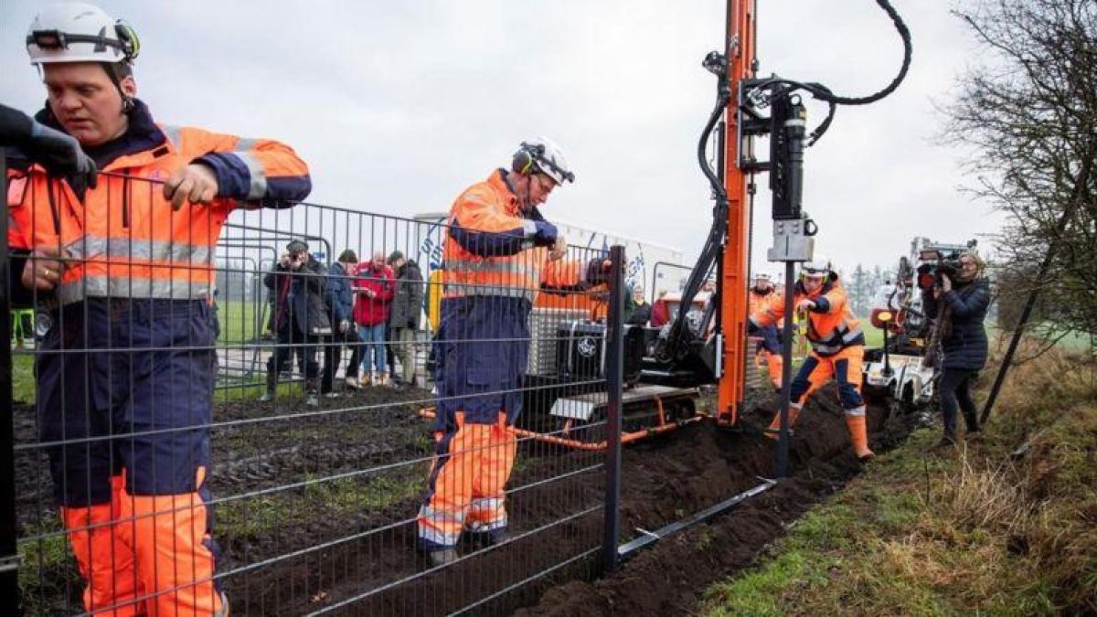 Unos operarios instalan una valla en la localidad danesa de Padborg para delimitar el tránsito de los jabalís procedentes de territorio alemán.-FRANK CILIUS (REUTERS)