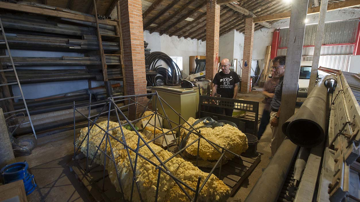 Imagen del Museo de los Dinosaurios. ECB