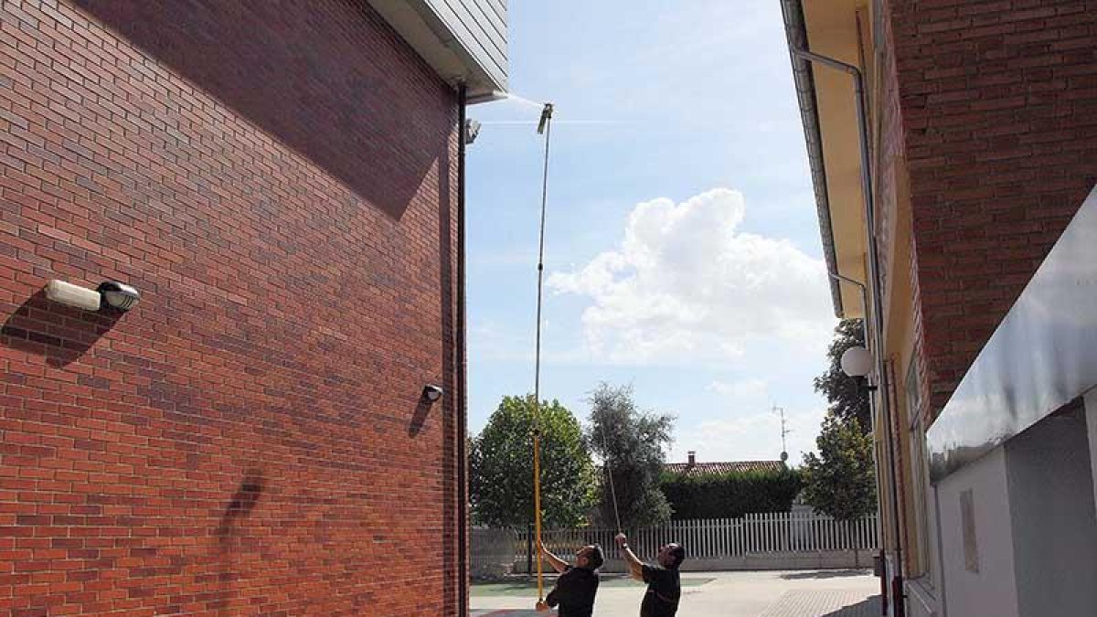 Los bomberos briviescanos utilizan la nueva pértiga contra avispas en un centro escolar.-G. G.