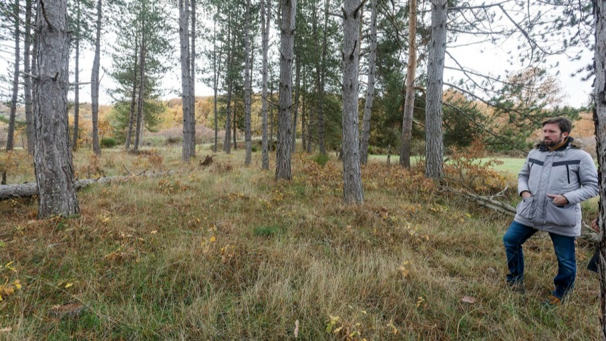 Joserra González, de Espacio Ubuntu, encara con ilusión el proyecto 'Gallinas Felices' en Villasur de Herreros (Burgos). / SANTI OTERO