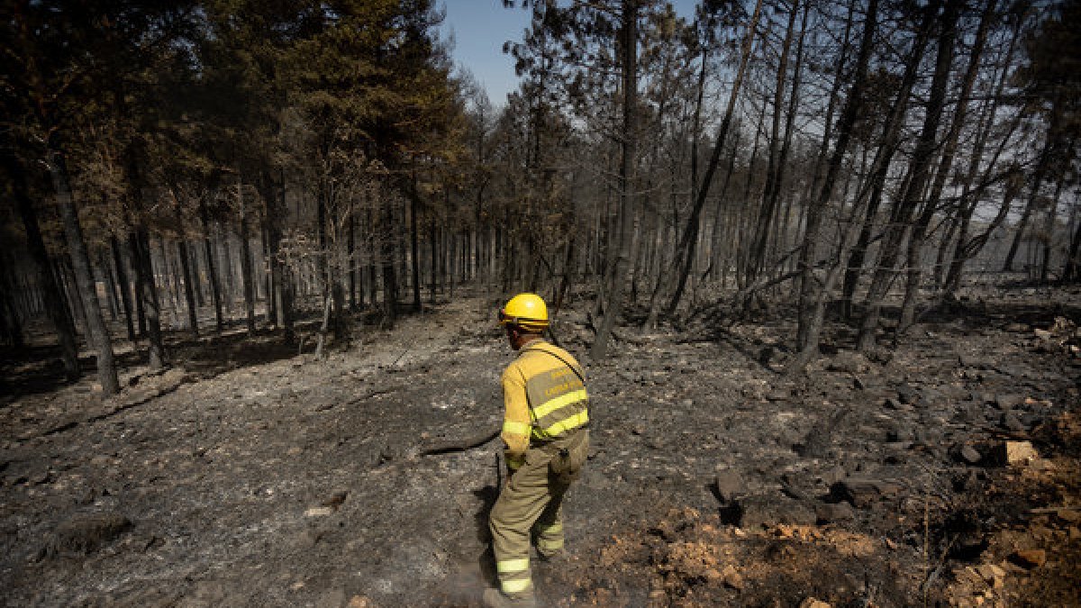 Superficie arrasada por el fuego en la zona de El Maillo. - ICAL
