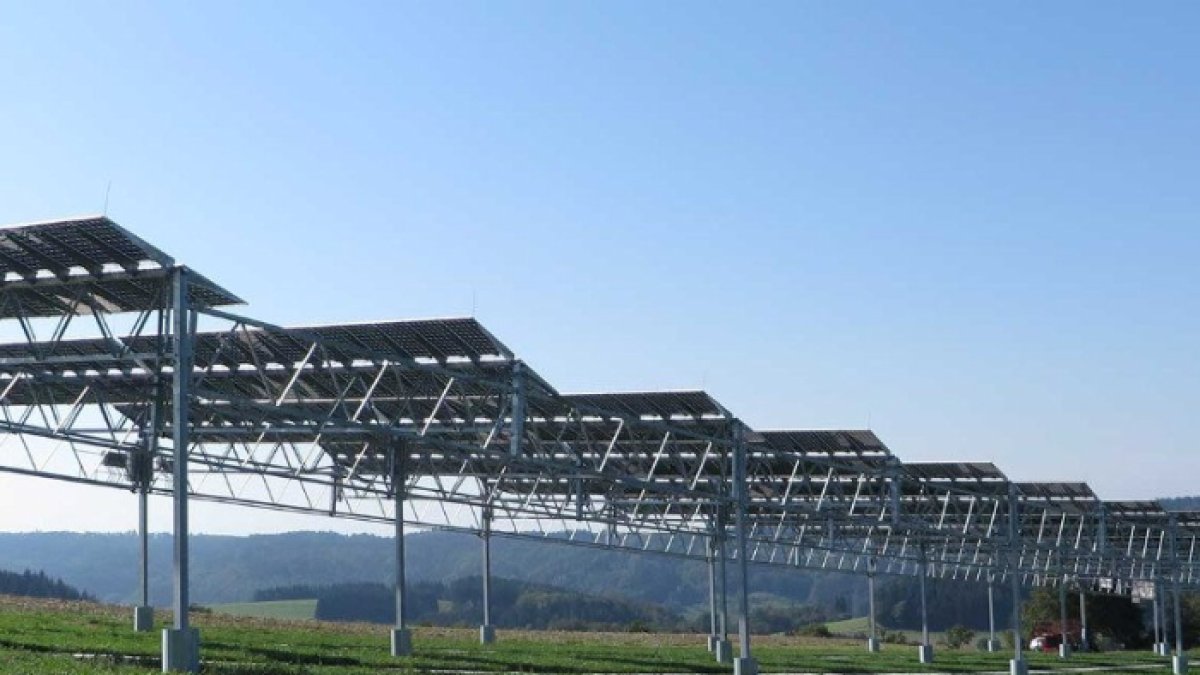 Agrovoltaics busca defender la viña de los efectos del cambio climático