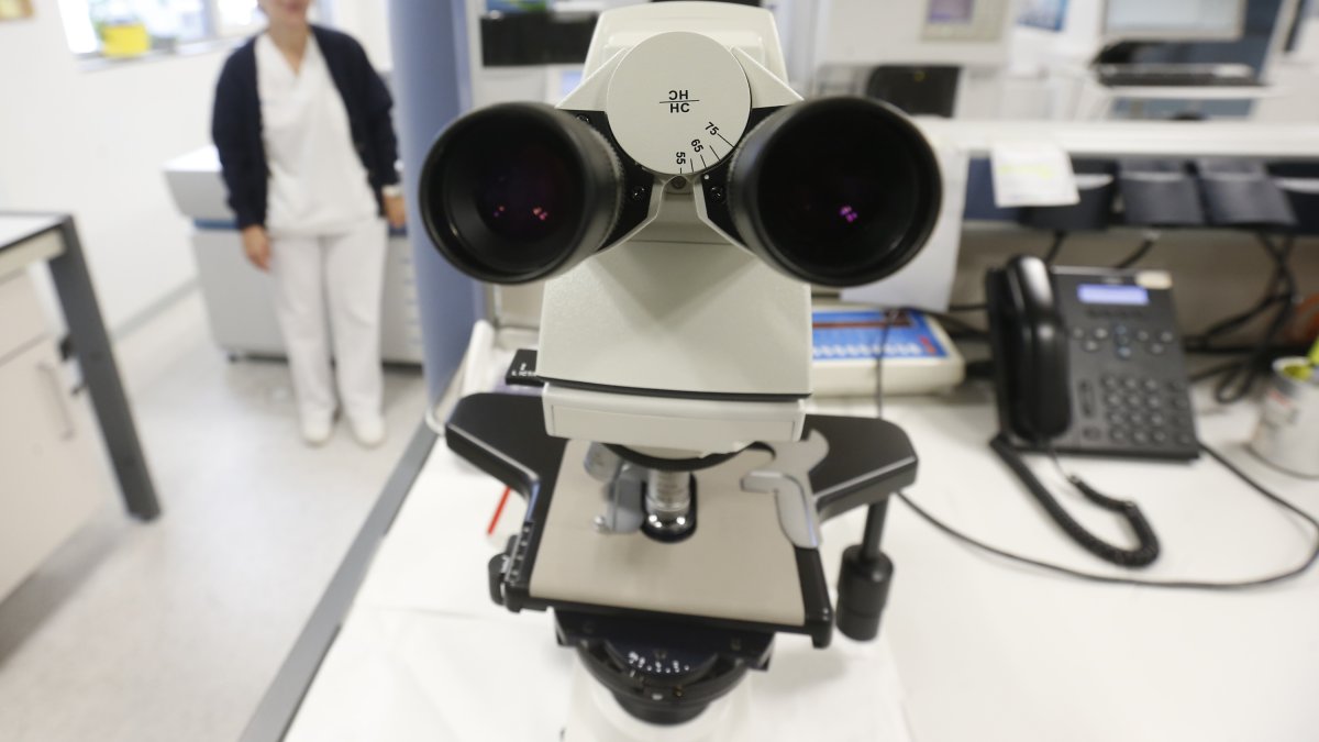 Material de investigación en el laboratorio de Microbiología de la UBU. R. G. OCHOA