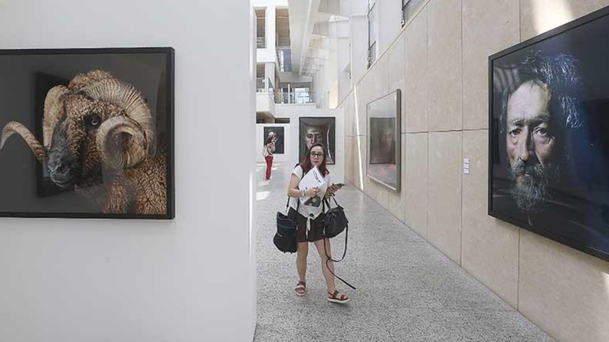 ‘Atavismos’ permanecerá en la sala -1 y en la 0 hasta el 23 de septiembre.-RAÚL OCHOA