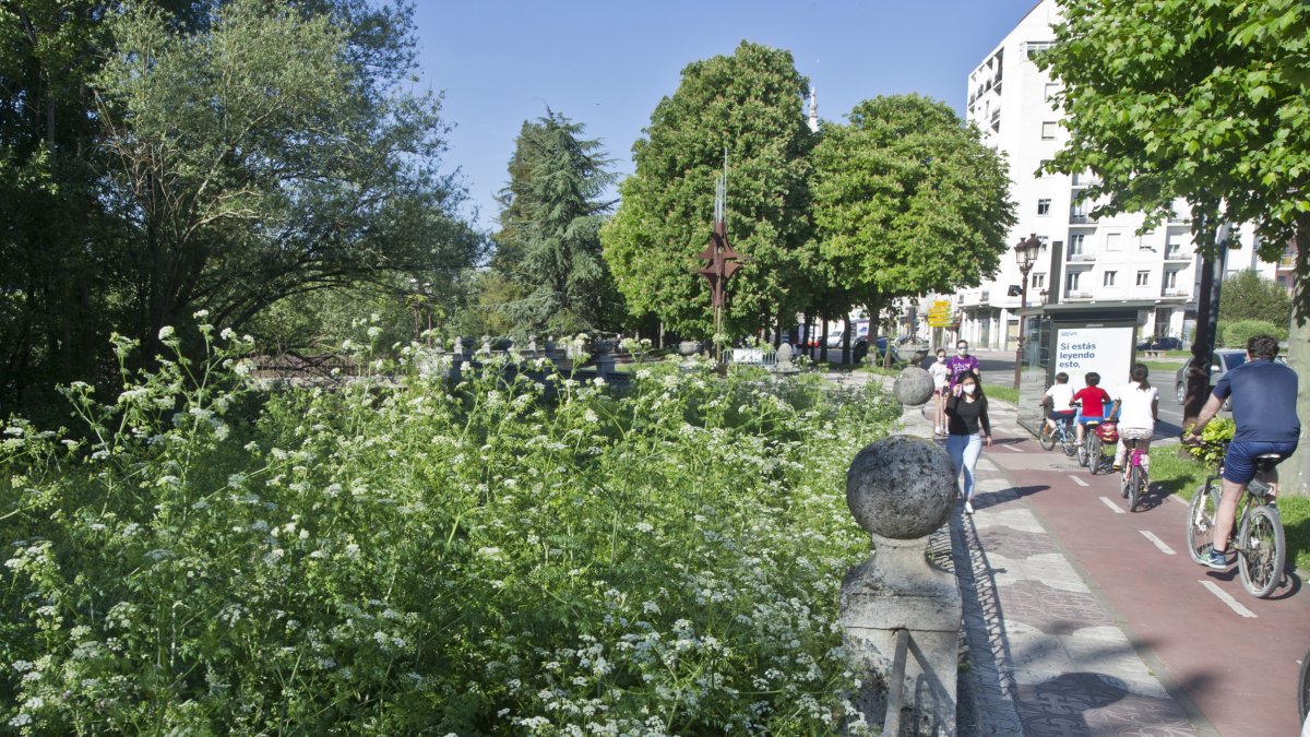 Aspecto de la zona verde junto al río Arlanzón. ISRAEL L. MURILLO