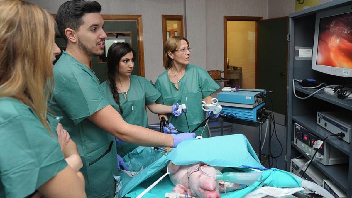 Imagen del curso de laparoscopia que se realiza en el Divino Valles.-ISRAEL L. MURILLO