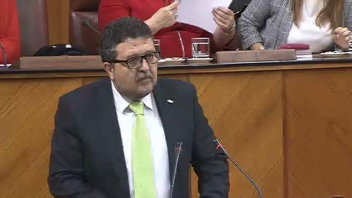 El líder de Vox en el Parlamento de Andalucía, Francisco Serrano, durante su discurso.-EL PERIÓDICO