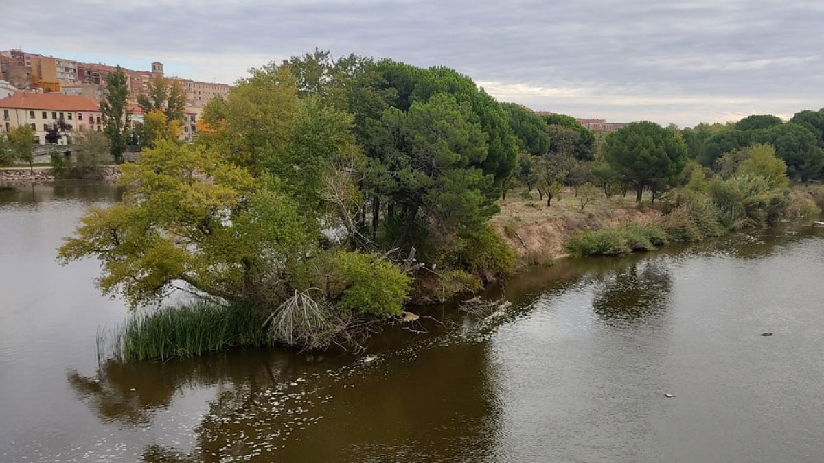 Manchas en el agua del r?o Duero a su paso por Zamora
