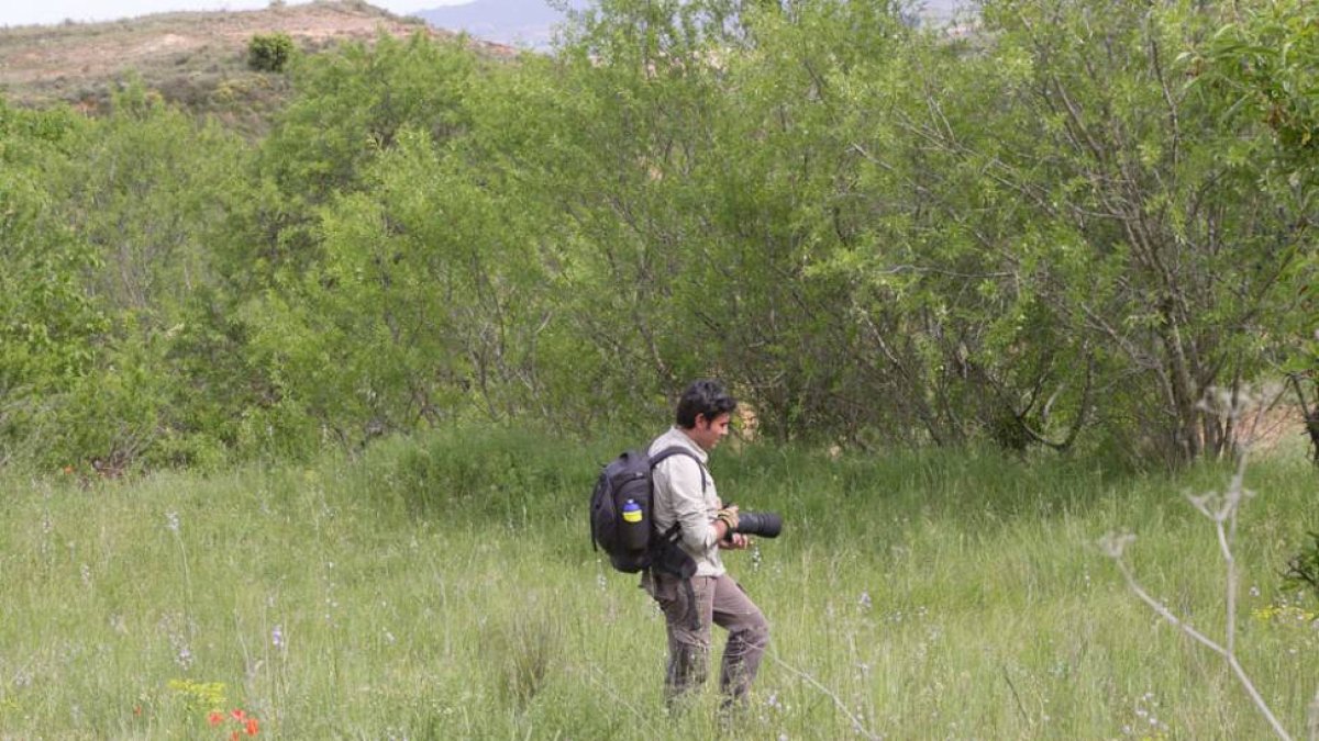 Fotografiar aves en los Montes Obarenes requiere un permiso administrativo.-G.G.