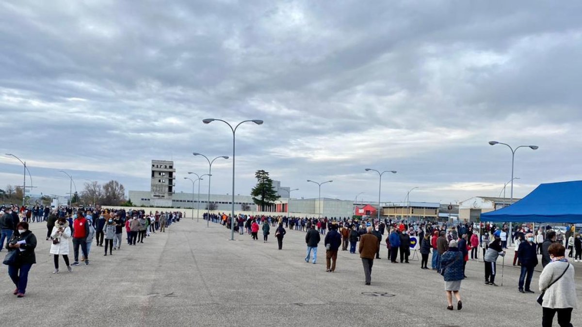 Cribado en Aranda. L. VELÁZQUEZ