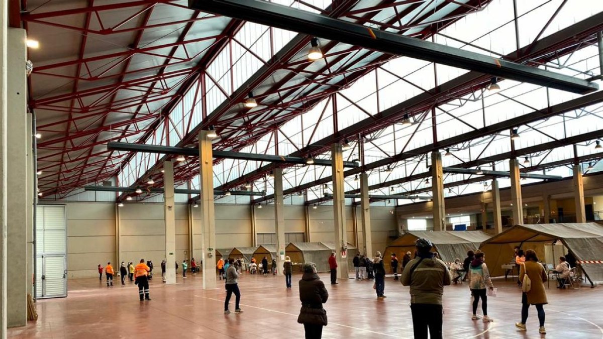 Primer cribado en Aranda. L. VELÁZQUEZ