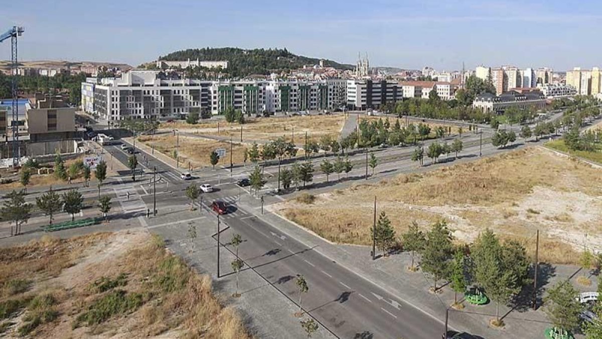 Vista general de algunas parcelas del consorcio del Desvío. ECB