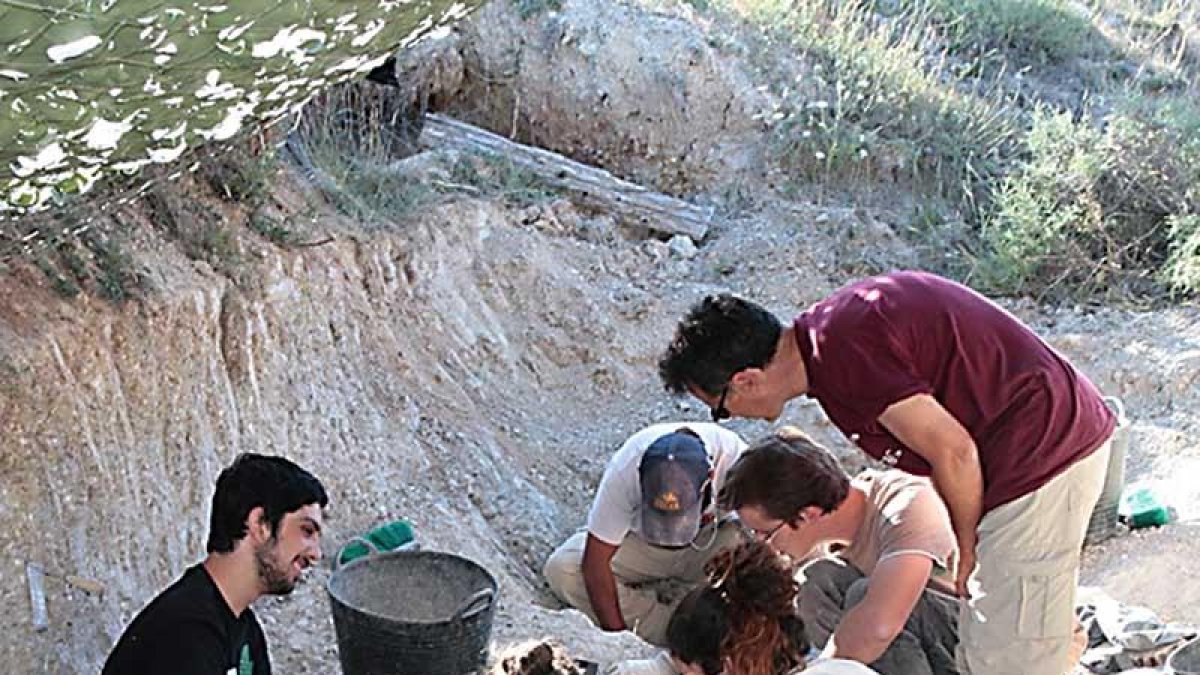 Dos de los excavadores trabajan con la brocha para limpiar un fósil.-CAS