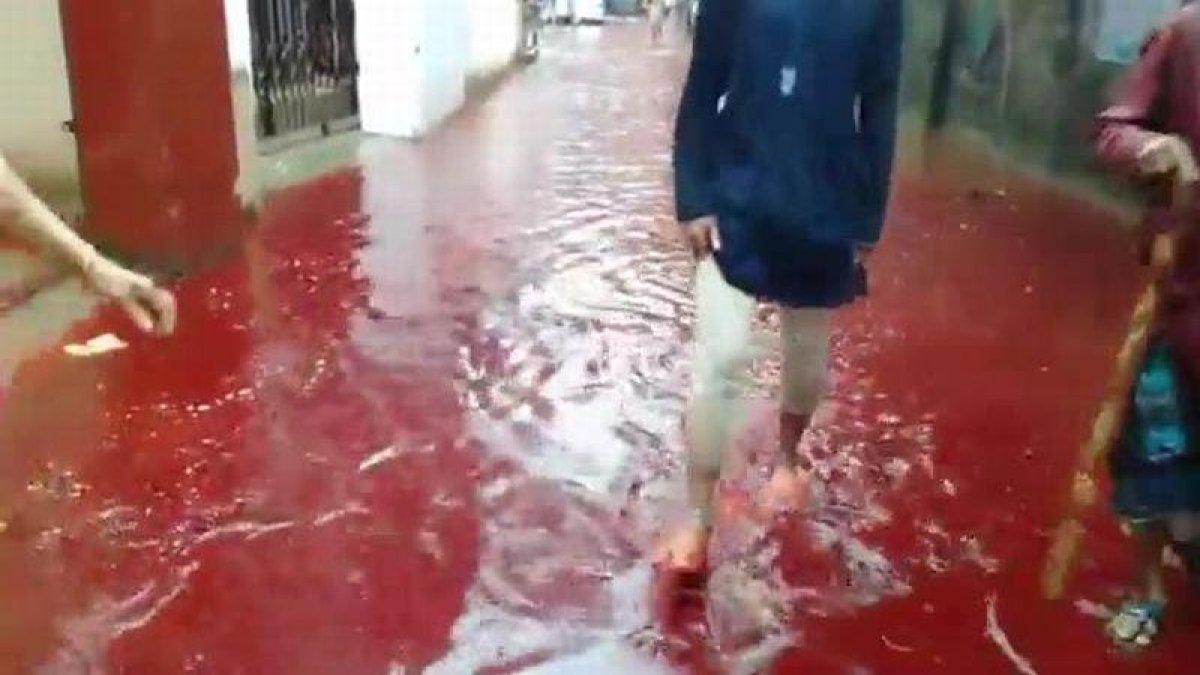 La sangre de los sacrificios de animales y la lluvia inundan las calles de Dacca (Bangladés).-YOUTUBE