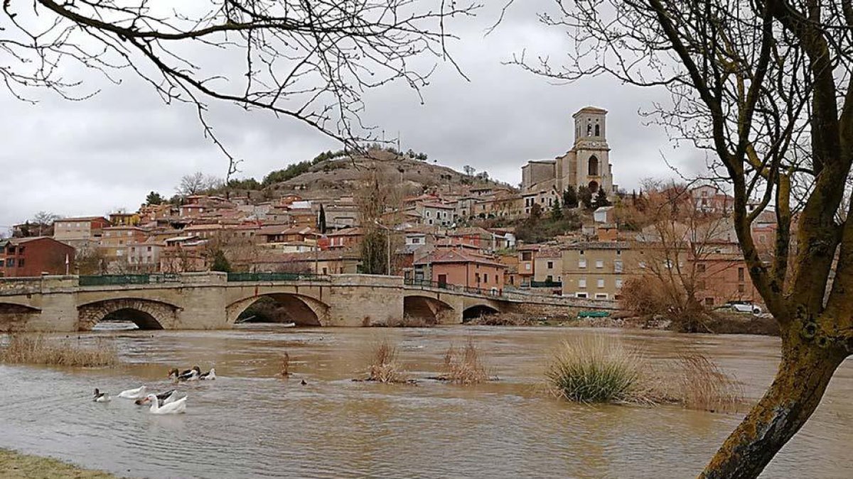 El río Arlanzón a su paso por la vega de Pampliega presentaba ayer este aspecto-APÍCOLAVERDE
