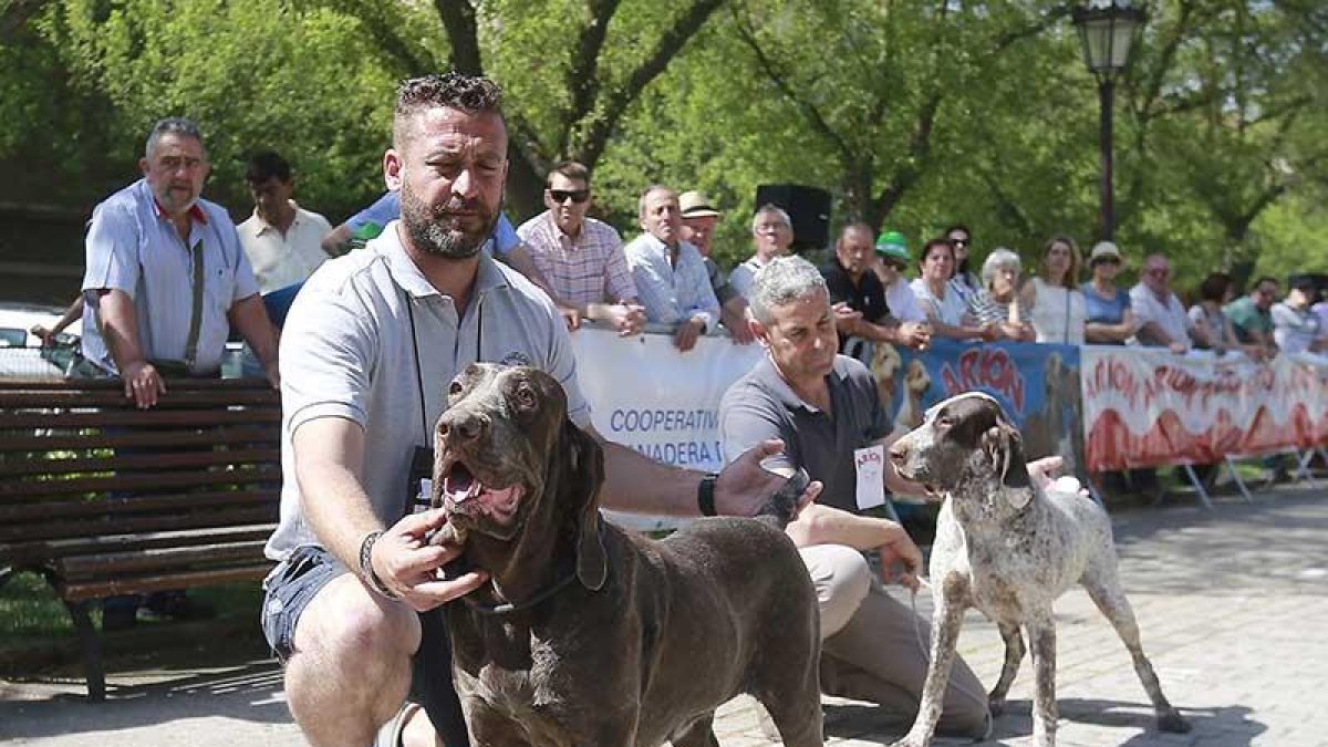 Óscar Vidueiros, criador de Cogollos, fue el gran triunfador de la cita y subió al podio varias veces.-RAÚL G. OCHOA