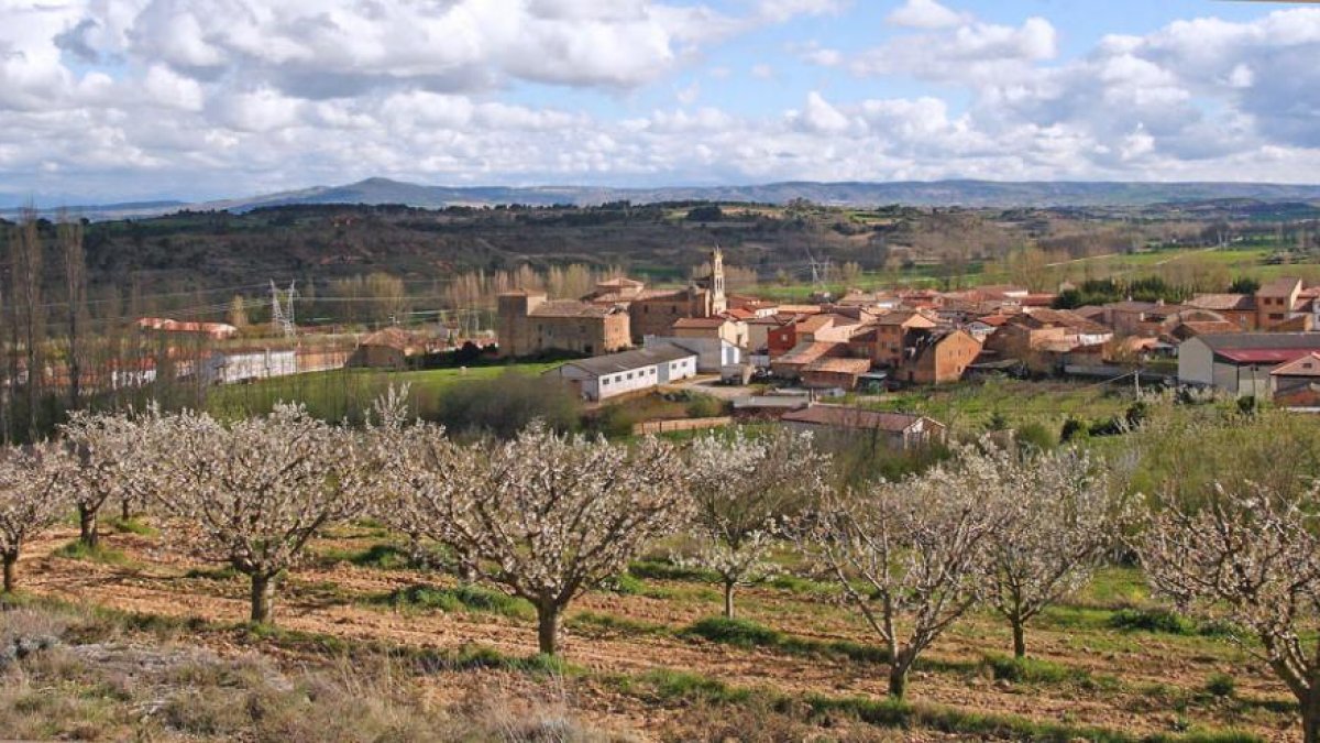 La floración de los cerezos del valle de Las Caderechas es ya visible desde las zonas bajas.-G. GONZÁLEZ