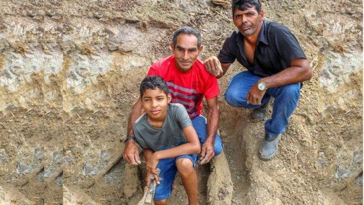 La mandíbula del animal prehistórico fue encontraba el pasado 11 de julio por un menor de once años.-REDE AMAZÓNICA