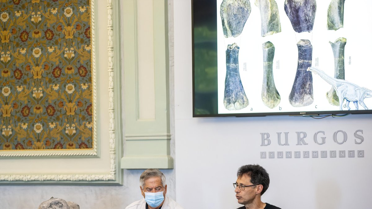 Francisco Azúa y Fidel Torcida, durante la rueda de prensa en la que presentaron un húmero de 1,5 metros. SANTI OTERO
