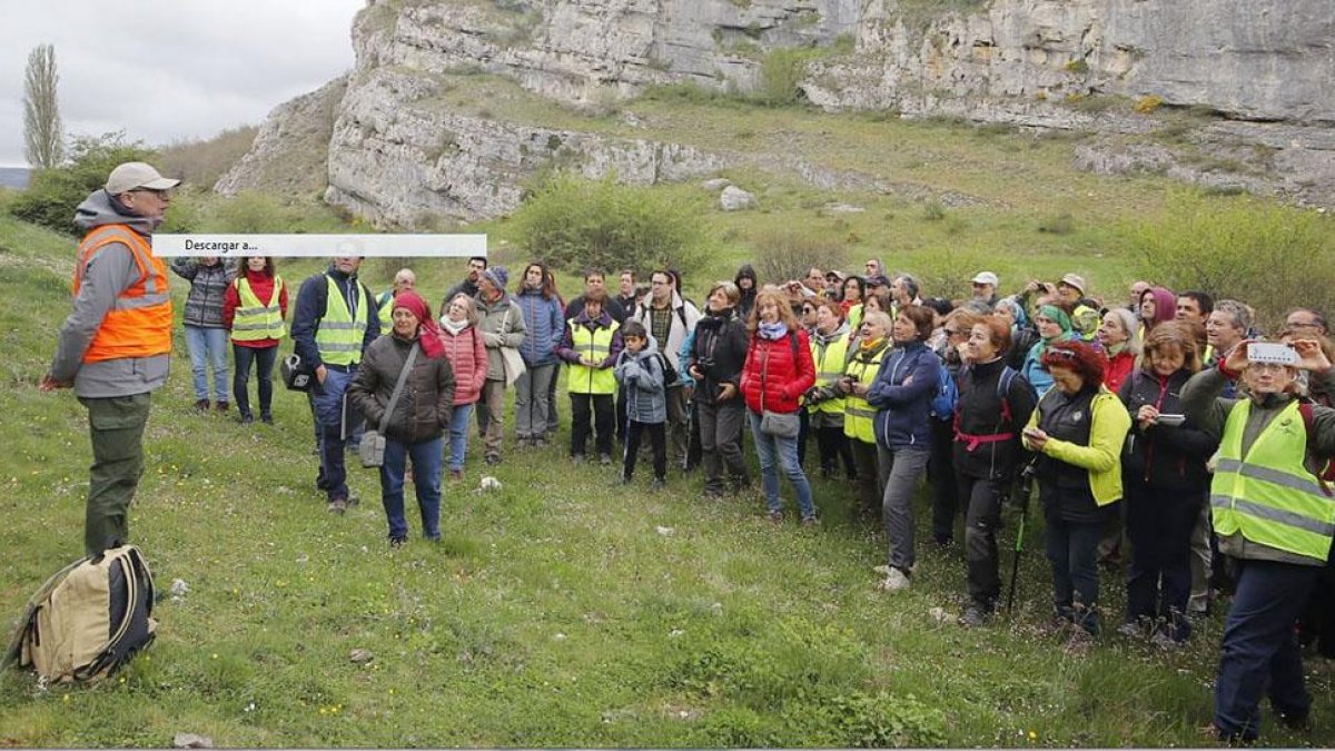 El Geolodía se celebró ayer en el entorno de los Cañones del Rudrón -con Hoyos del Tozo y Sargentes de la Lora como puntos destacados-, al que no faltó como cada año numeroso público.-ECB