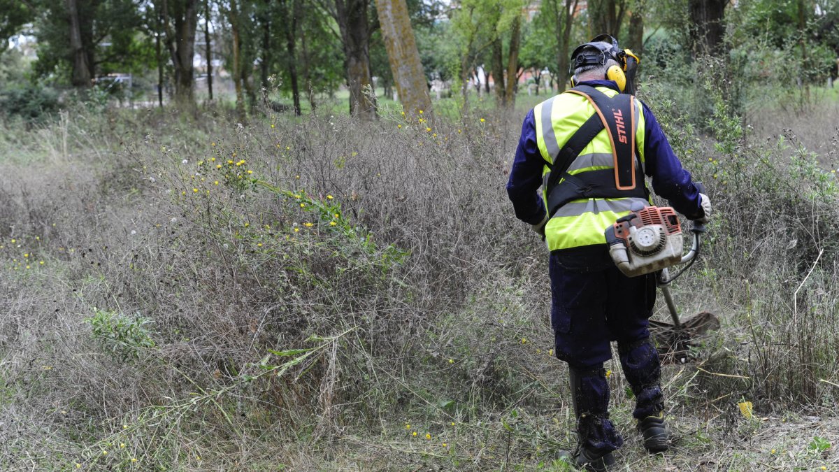 Lezcano teme que la Diputación deje sin el servicio de brigadas forestales a los pueblos este año. ECB