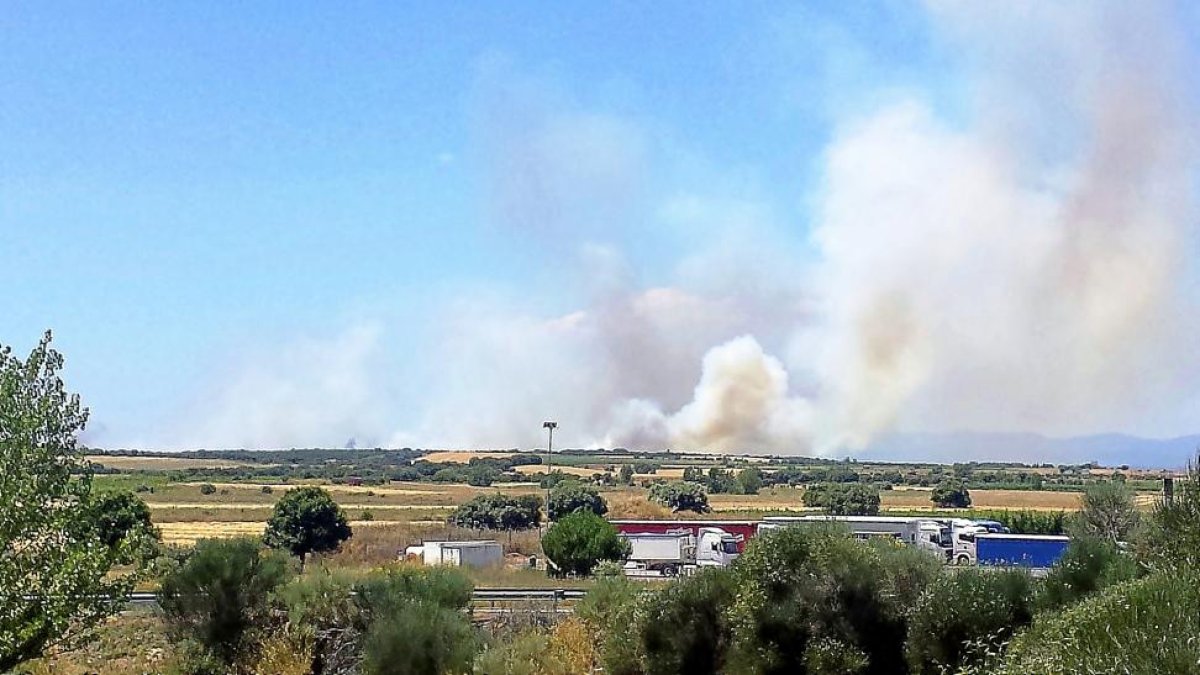 El humo del fuego declarado en Cunquilla de Vidriales era visible a kilómetros de distancia.-ICAL