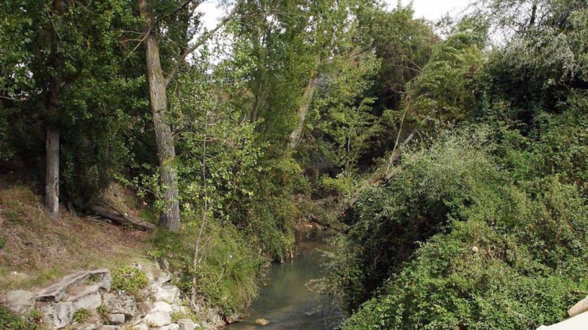 Se construirá una escollera en la parte izquierda-G.G.