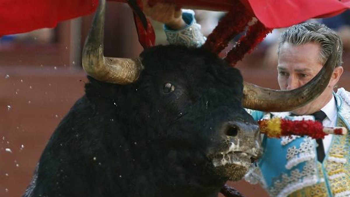 La crueldad en los festejos taurinos, según Igualdad Animal.-Foto: IGUALDAD ANIMAL