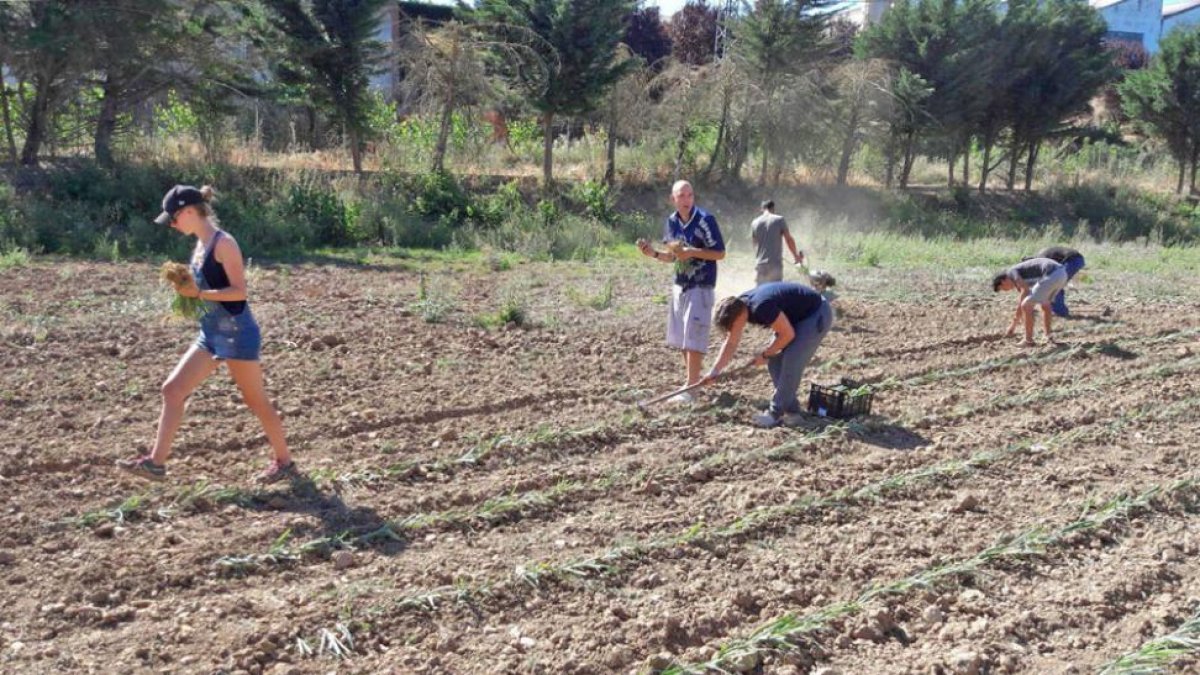Entre las actividades está la gestión de un huerto ecológico en Melgar.-ECB