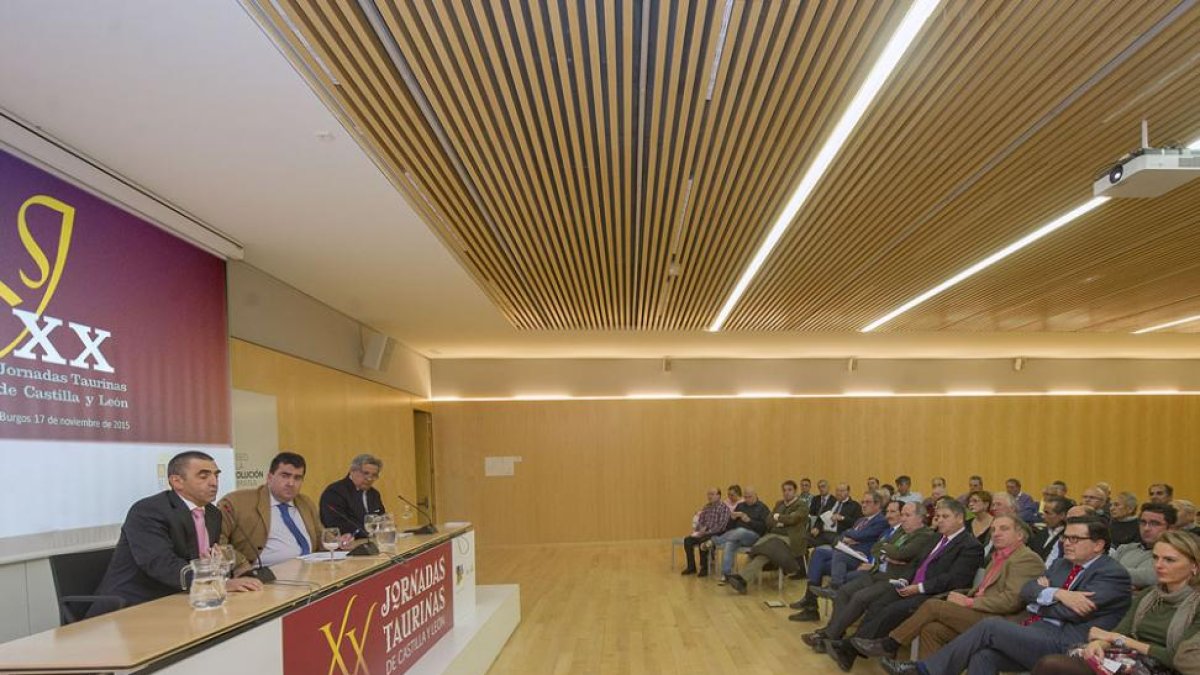 Imagen de las jornadas celebrada ayer.-ISRAEL L. MURILLO