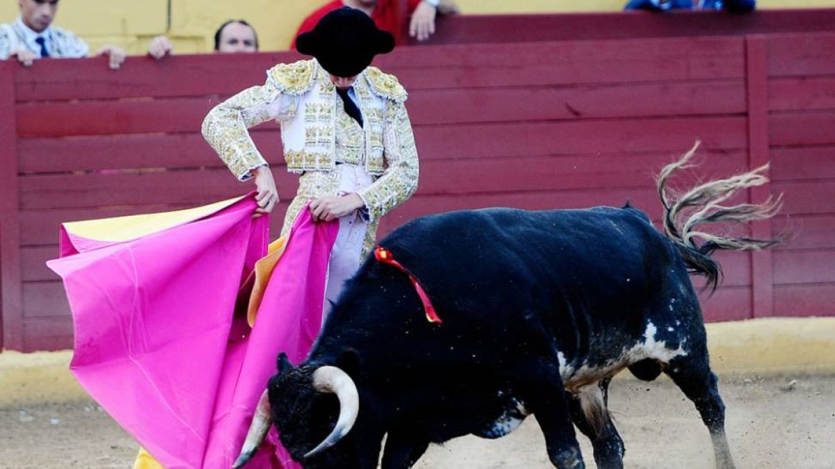 El novillero Alejandro Gardel cortó tres orejas ayer en Huerta de Rey.-ECB