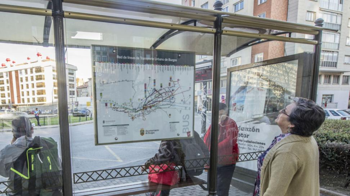 Una mujer consulta uno de los mapas de autobuses ubicado en una parada.-ISRAEL L. MURILLO