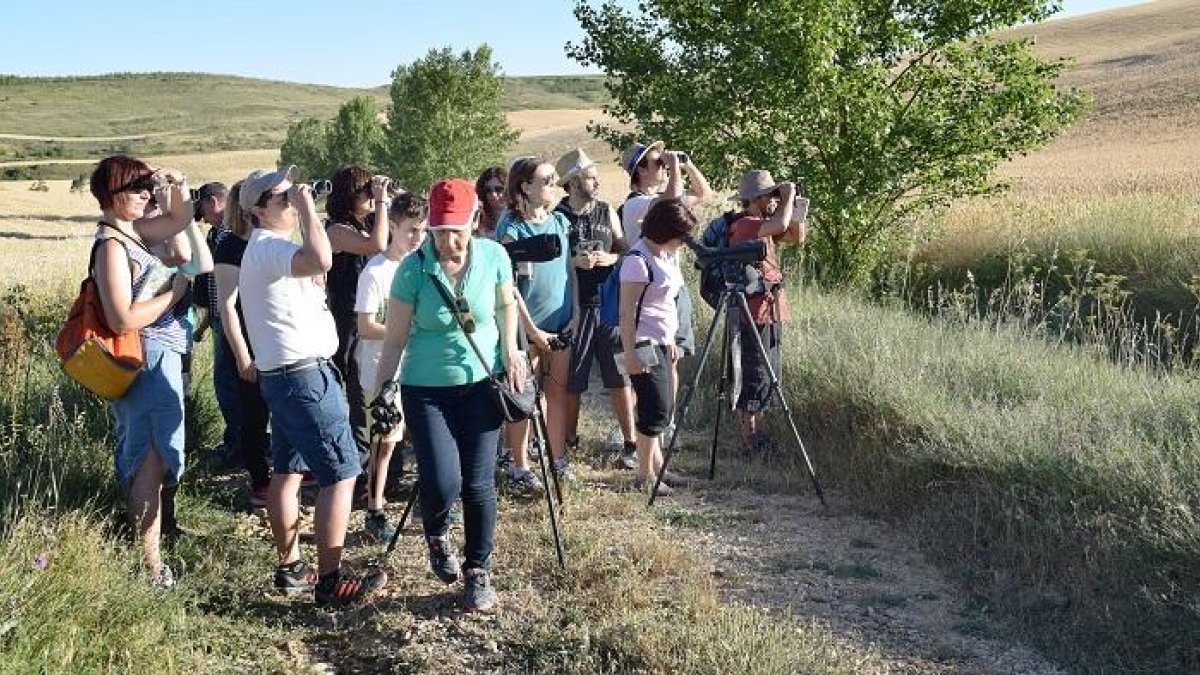 Participantes de las jornadas observando las aves a través de los prismáticos.-ECB