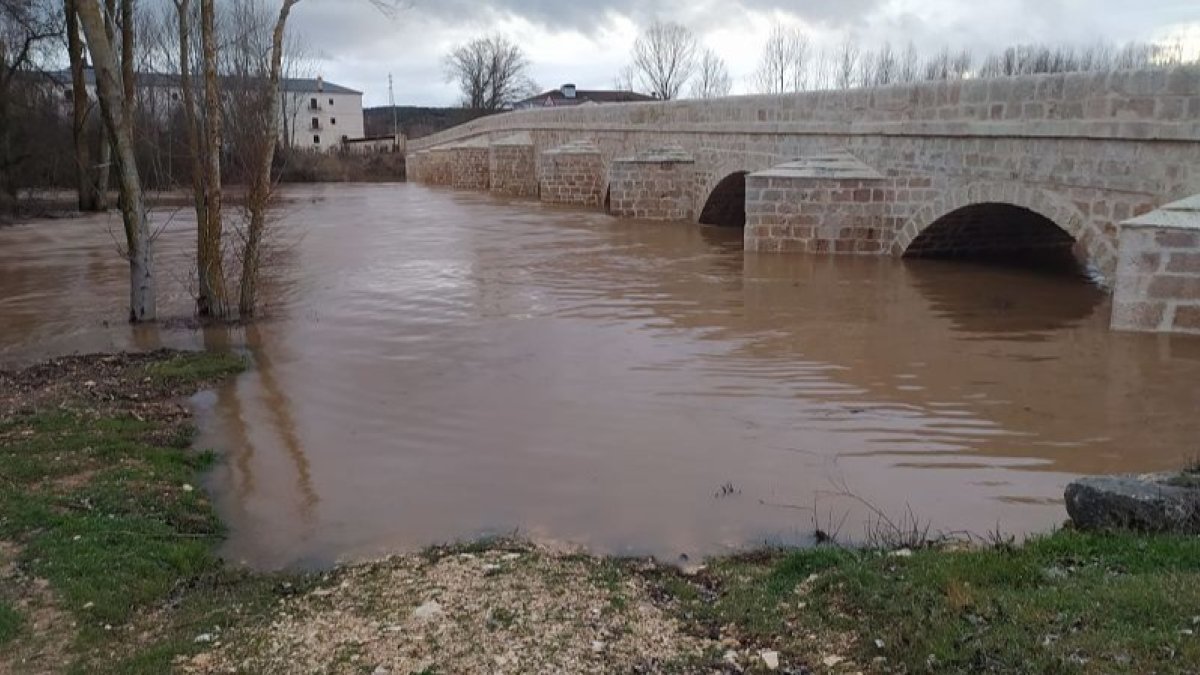 El río Duero se sale de sus márgenes a la altura del puente de La Vid. L. VELÁZQUEZ