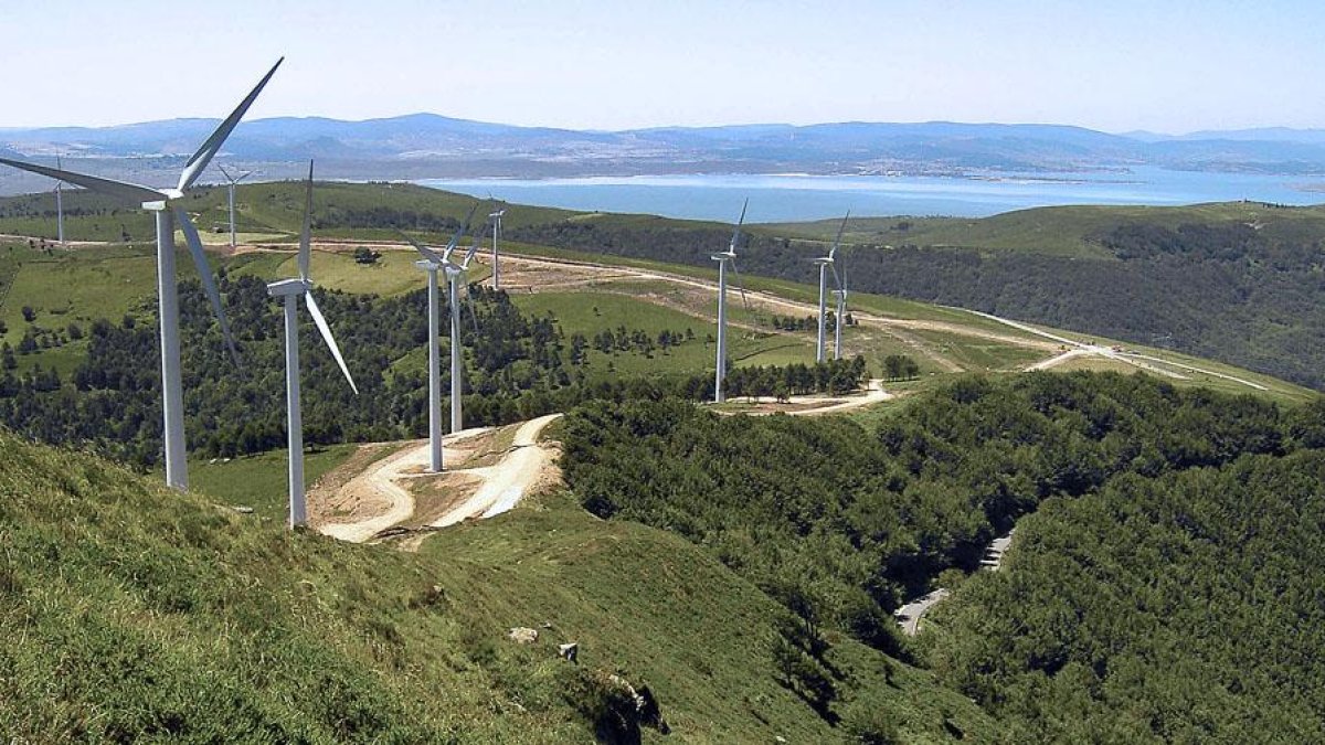 Imagen de un parque eólico. ECB
