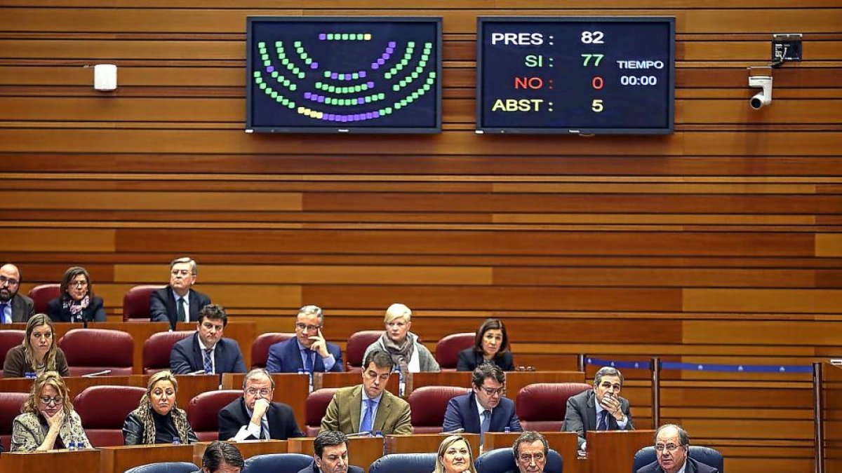 La consejera Pilar del Olmo observa el resultado de una votación, con la abstención de los cinco procuradores de C’s.-ICAL