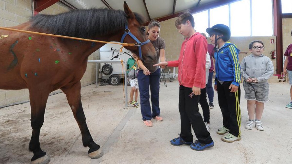 Los niños dieron terrones de azúcar al caballo ‘Rayito’ y pintaron sobre su piel para ir cogiendo confianza para luego montar.-ISRAEL L. MURILLO
