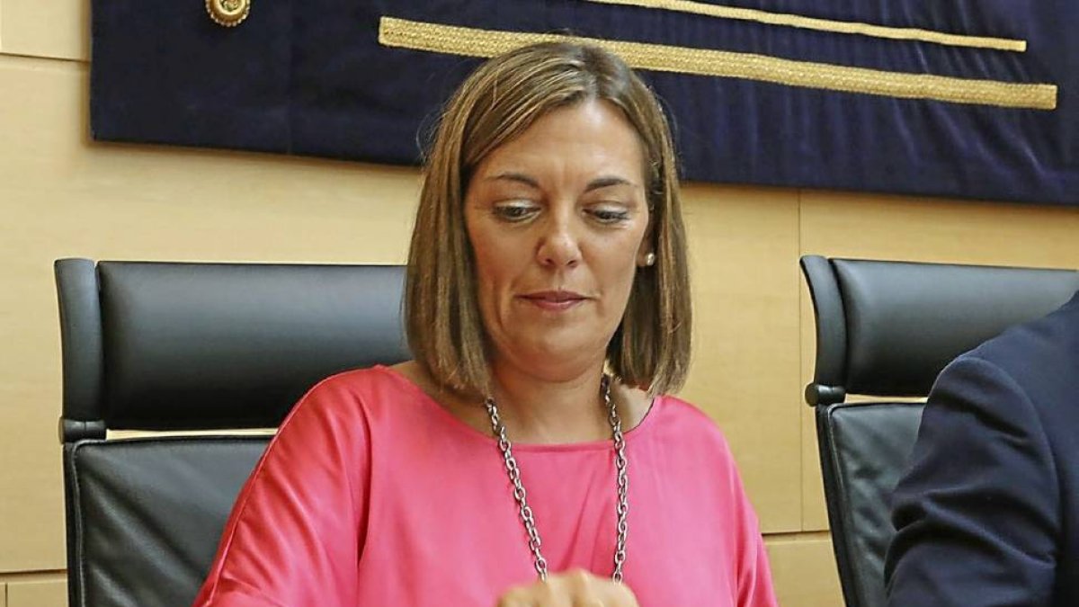 La consejera de Agricultura comparece en las Cortes.-Ical