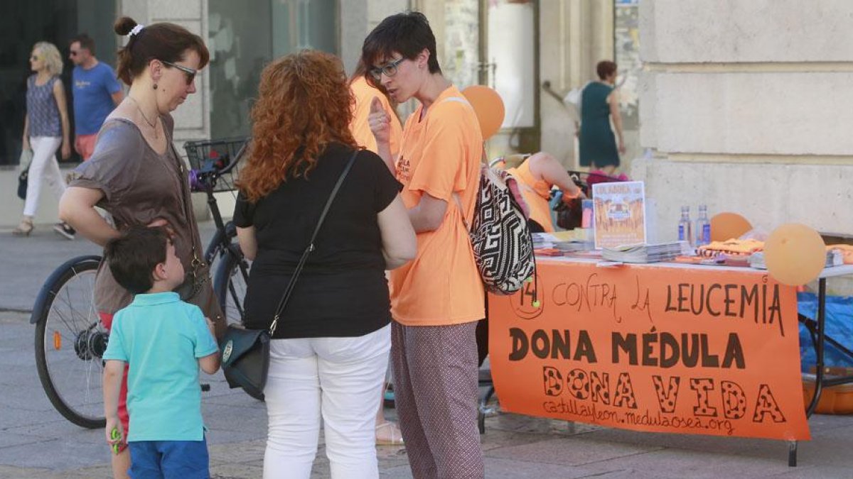 La Asociación de Donantes de Médula Ósea de Burgos (Admobu) centra sus esfuerzos en ampliar su prestación de servicios y concienciar a la sociedad sobre la importancia de salvar vidas.-RAÚL G. OCHOA