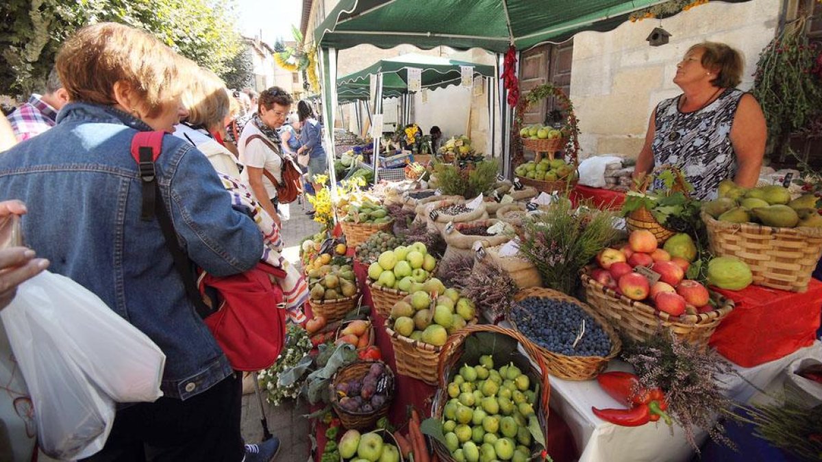 Los puestos de frutas, verduras y legumbres fueron uno de los grandes protagonistas de la jornada.-G. G.