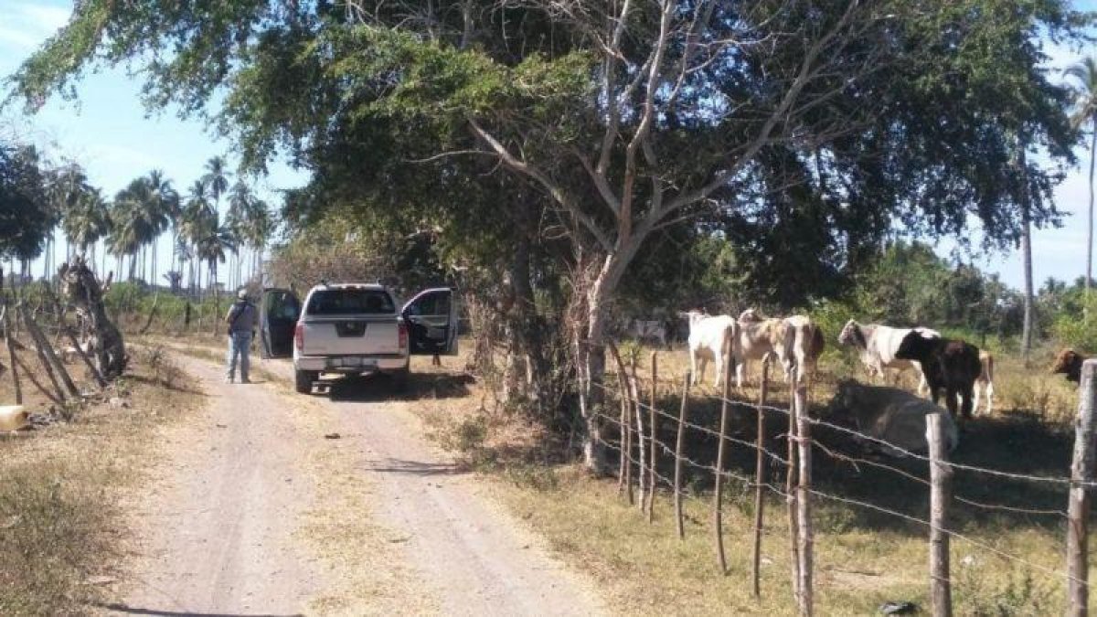 Policias del estado de Colima vigilan los accesos a las fosas clandestinas localizadas en el municipio de Tecoman.-EFE