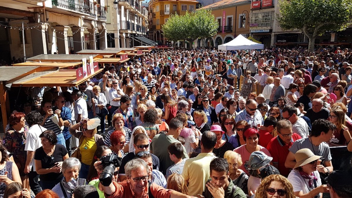 Ribera del Duero suspende la Fiesta de la Vendimia. L. V.