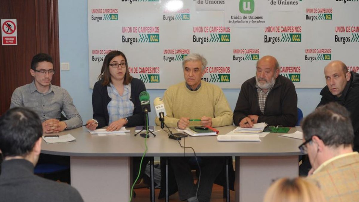 Víctor Ignacio González, Celia Izquierdo, Félix Arribas, Dositeo Martín y Álvaro Elena en la rueda de prensa de ayer.-ISRAEL L. MURILLO