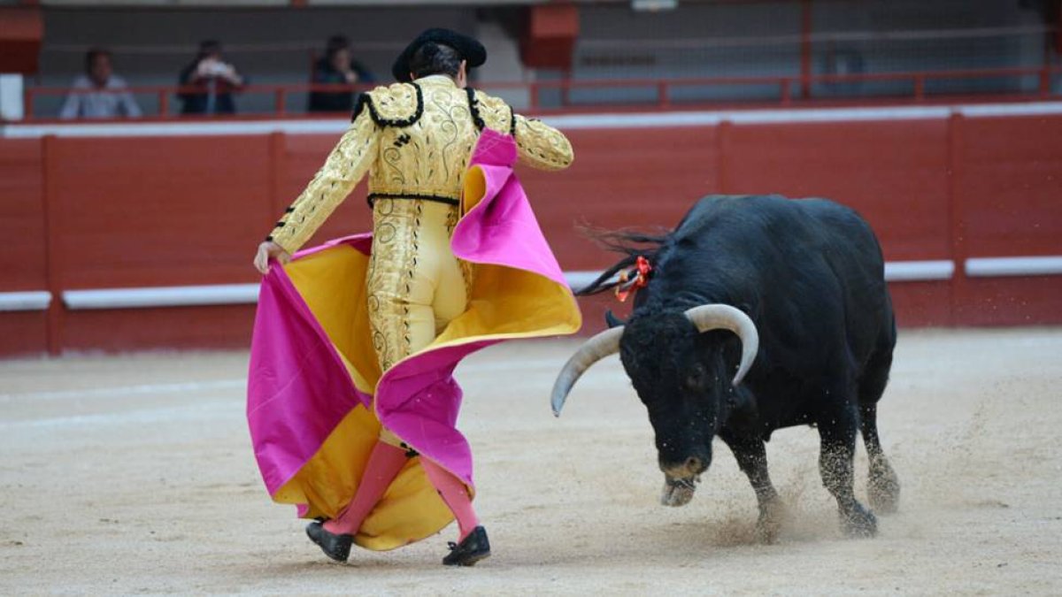 El Fandi galleando por chicuelinas frente a su primer toro.-ALBERTO CALVO